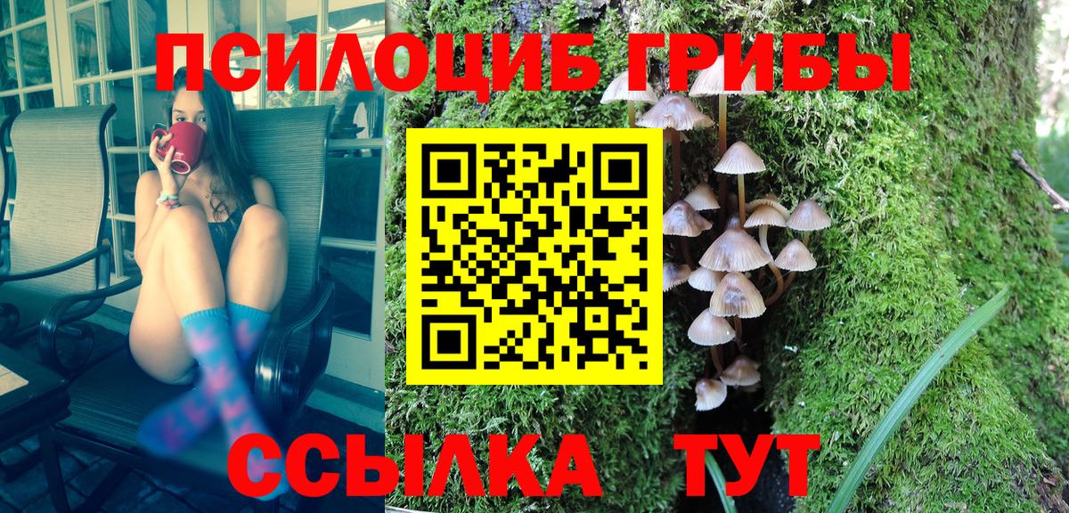 Галлюциногенные грибы Magic Shrooms Видное