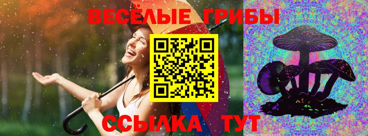 Видное  Галлюциногенные грибы Magic Shrooms  Вход с VPN 